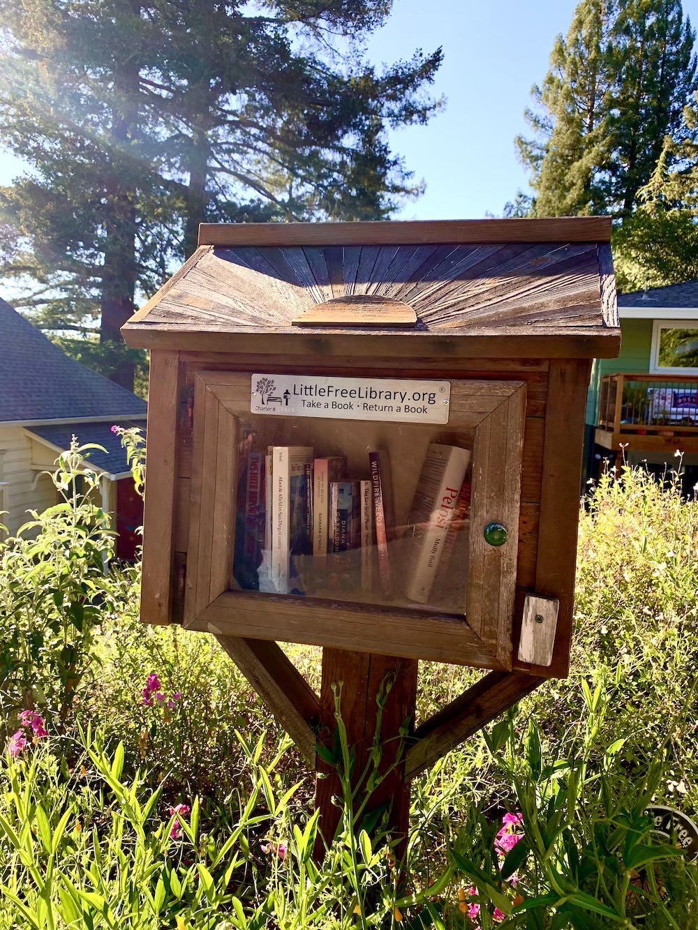 Little Free Library with Wildfire Weeds copy